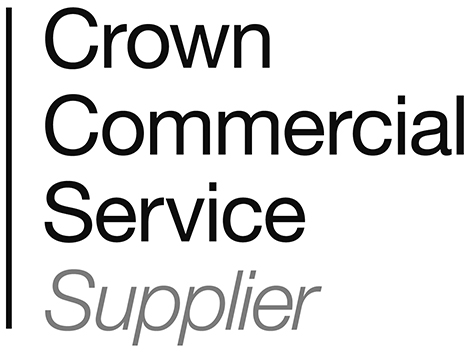 Software Advice's Logo